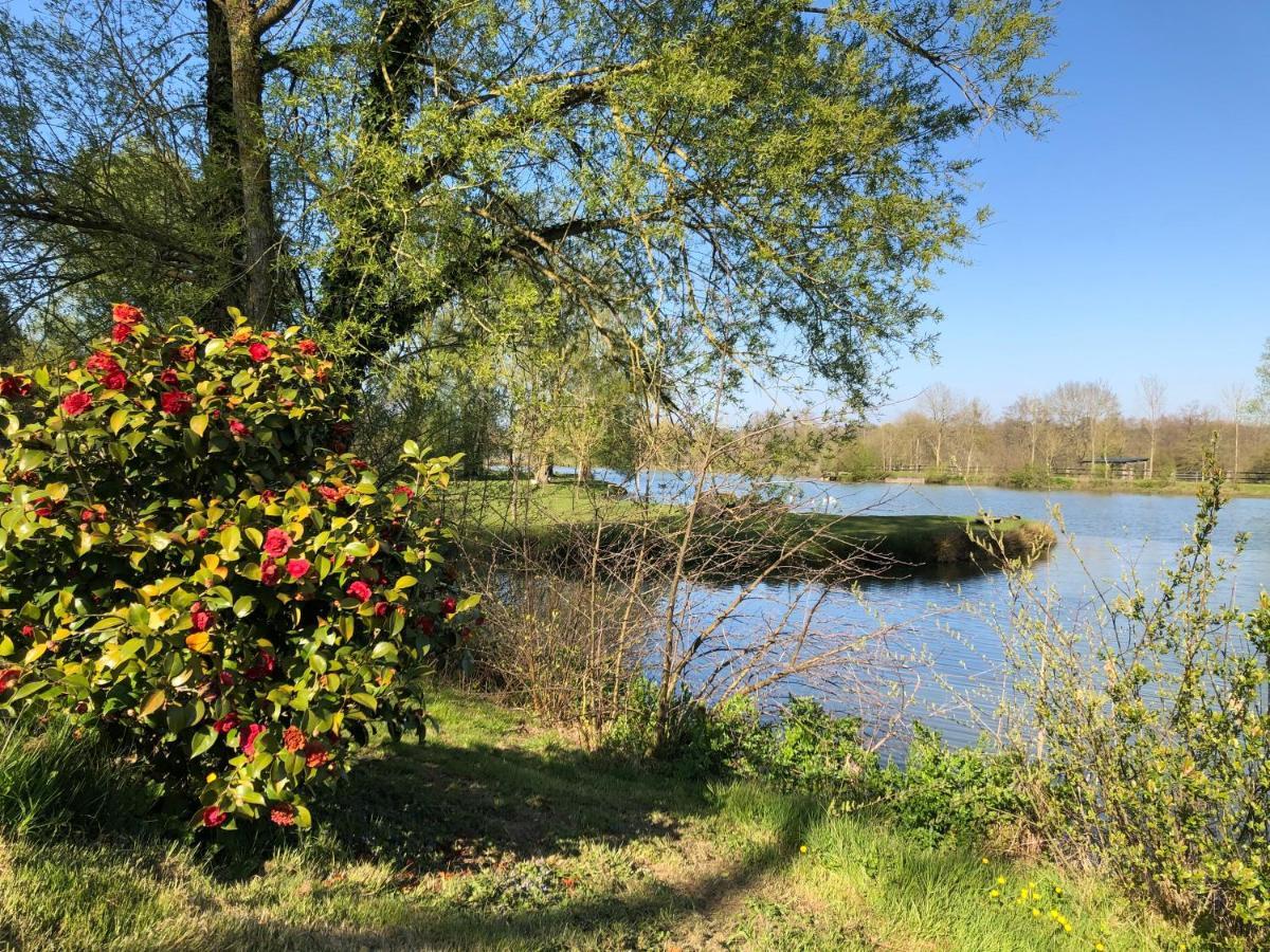 La Francoisiere Bed & Breakfast Loigne-sur-Mayenne Exterior photo